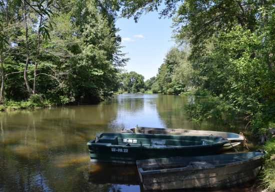 BOUCLE – FICHE N°16 – CIRCUIT AU BORD DE LA SARTHE – SAINT PAVACE