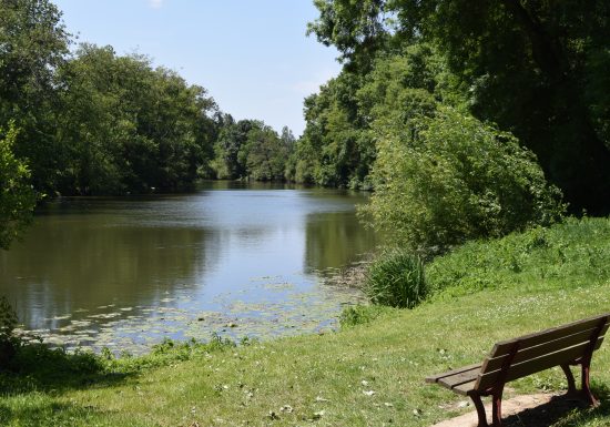 BOUCLE – FICHE N°16 – CIRCUIT AU BORD DE LA SARTHE – SAINT PAVACE