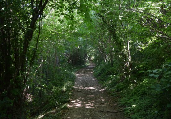 BOUCLE – FICHE N°1 – CIRCUIT DU DONJON – BALLON SAINT MARS