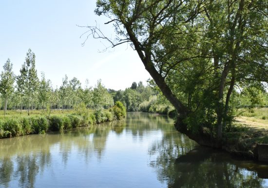 BOUCLE – FICHE N°3 – CIRCUIT DU VAL D’ORNE – BALLON SAINT MARS