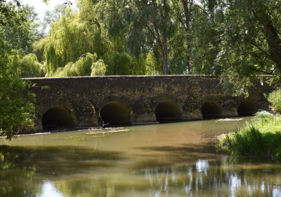 BOUCLE – FICHE N°9 – CIRCUIT DU PONT DE PIERRE – MONTBIZOT