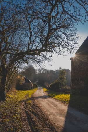 Colombier de Rouessé-Vassé