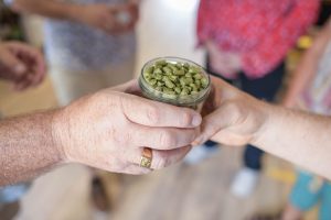 Brassage pour Amateur