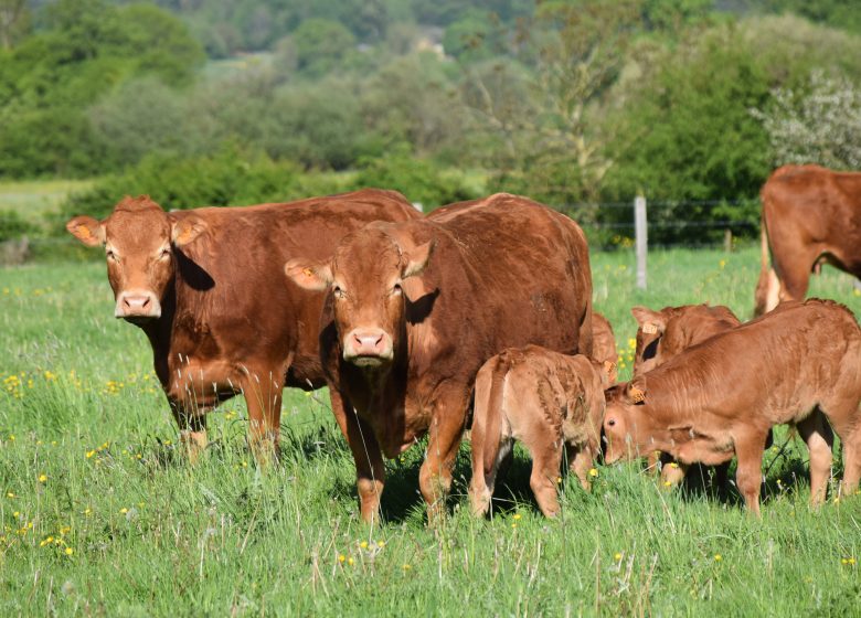 Aire de stationnement à la ferme