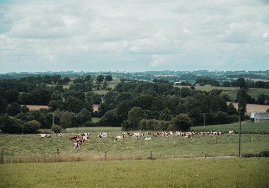 Circuit de la Chapelle Lamarre (n°6)
