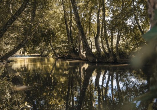 Circuit de la Vègre