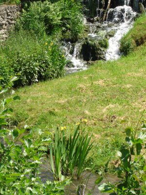 N°22 : Au fil des ruisseaux