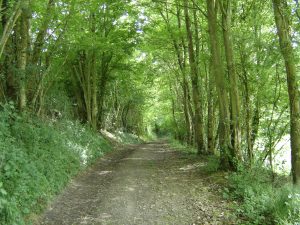 N°40 : Un village paisible ourlé par le Tusson
