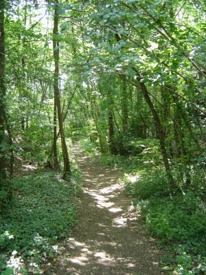 N°10 : Autour du Saint-Symphorien