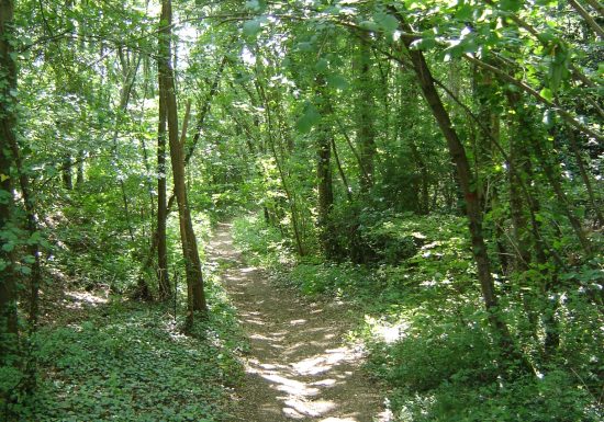 Autour du Saint-Symphorien