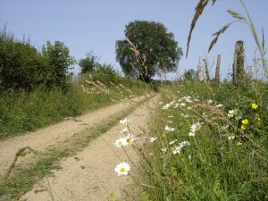 CIRCUIT N°31 : CIRCUIT DU LUTIN – SOULITRÉ