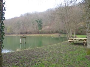 Pêcher dans le plan d’eau du Château de Courtanvaux