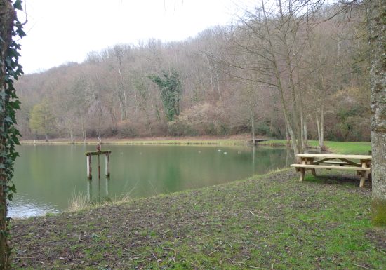 Pêcher dans le plan d’eau du Château de Courtanvaux