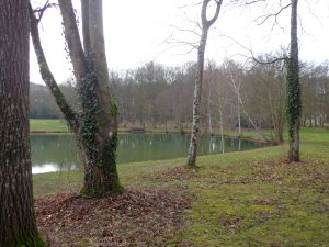 Pêcher dans le plan d’eau du Château de Courtanvaux