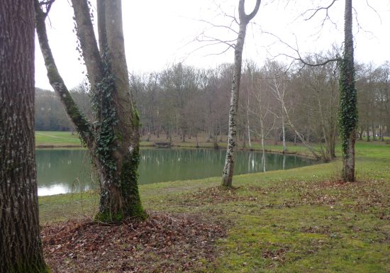 Pêcher dans le plan d’eau du Château de Courtanvaux