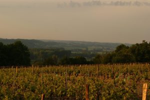 Domaine viticole La Raderie