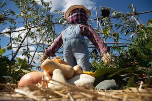 Gîtes et chambres d’hôtes Le jardin des 4 saisons