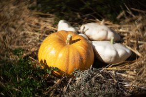 Gîtes et chambres d’hôtes Le jardin des 4 saisons