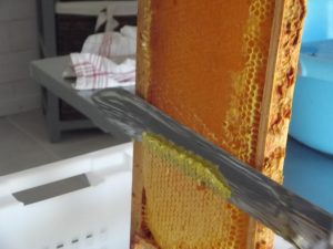 MIEL ET MERVEILLES… NATACHA BOULAY APICULTRICE