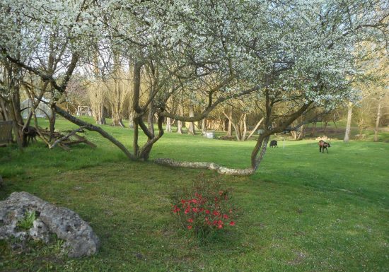 Gîte “Martin Pêcheur”