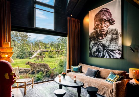 Safari suite – Zoo de la Flèche