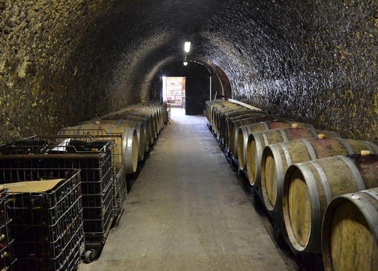 PAT : Visite du Domaine de Cézin