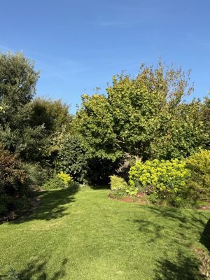 Visite du jardin de L’Ecole des Garçons
