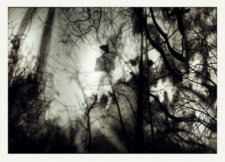 Séance philo au musée de Tessé