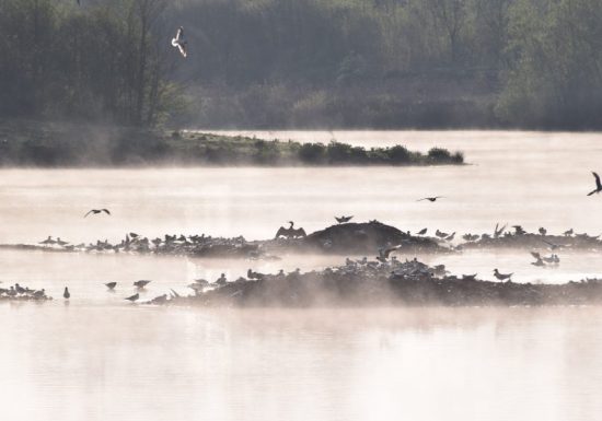 NATURAL AREA SENSITIVE – LES AJEUX