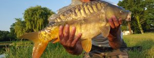 L’ETANG DE FATINES