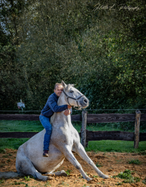 Face à face avec les chevaux