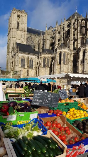 Marché des Jacobins – Le Mans