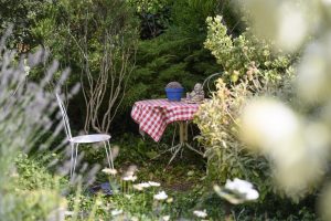 CLOS SUR LOIR COTTAGE- JARDIN YUCCAS