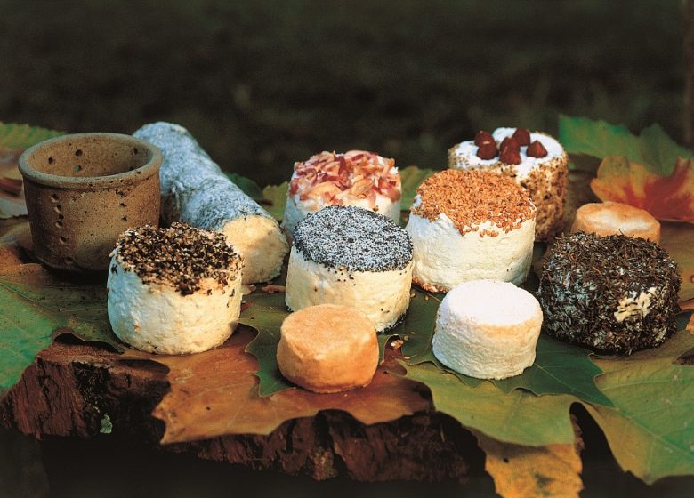 DOMINIQUE BRARD – GOAT CHEESE