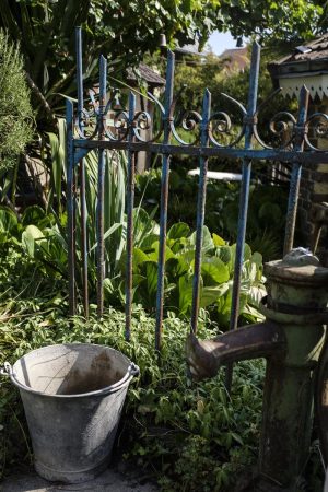 CLOS SUR LOIR COTTAGE- JARDIN YUCCAS