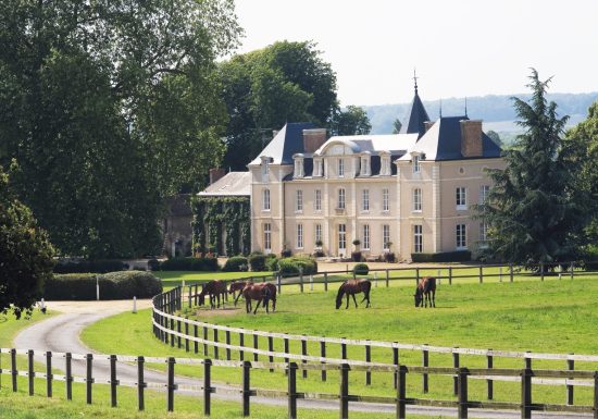 Château-hôtel de charme Haras de la Potardière