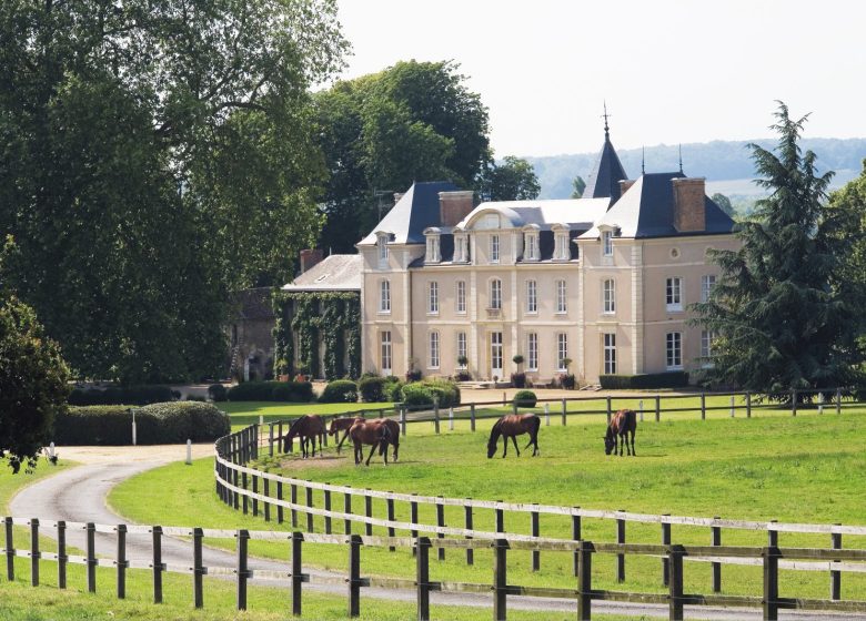 Château-hôtel de charme Haras de la Potardière
