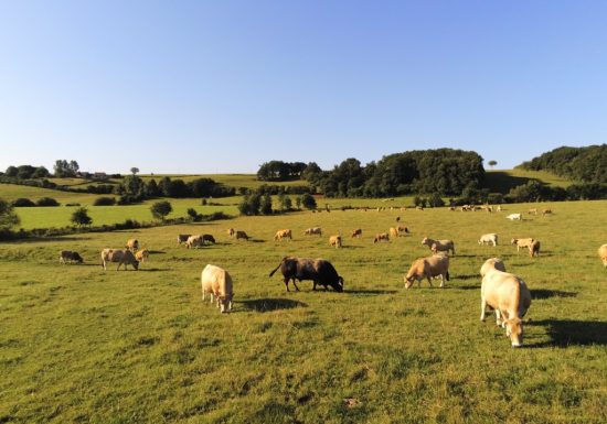 Ferme de la Gourdaine