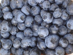 Culture de petits fruits rouges