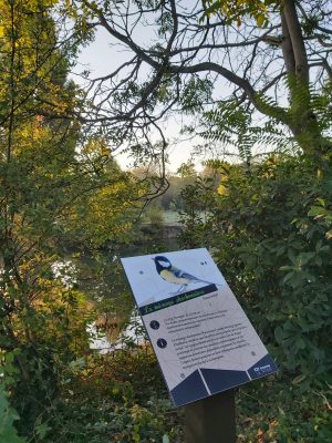 AUTOUR DU BOULEVARD NATURE : ÎLE AUX PLANCHES – GUÉ DE MAULNY, ENTRE SARTHE ET HUISNE