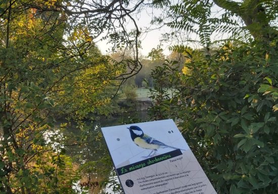 AUTOUR DU BOULEVARD NATURE : ÎLE AUX PLANCHES – GUÉ DE MAULNY, ENTRE SARTHE ET HUISNE