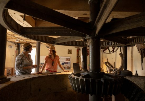 La Vélobuissonnière : Le Mans < > La Suze-sur-Sarthe