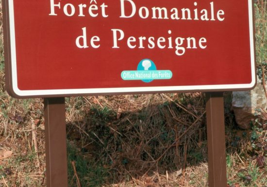 CIRCUIT VTT N°8 – BLEU – “CROIX PERGELINE”