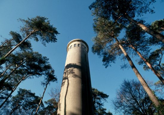 EN FORÊT DE PERSEIGNE