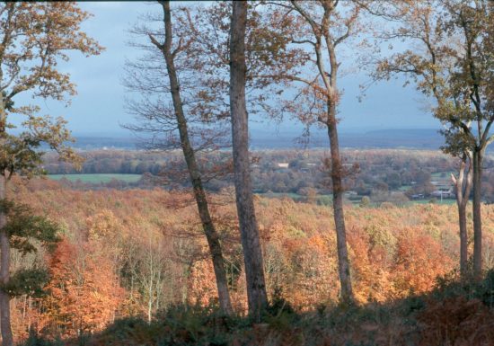 CIRCUIT PEDESTRE “HÊTRE” – NEUFCHÂTEL EN SAOSNOIS