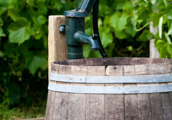 Boucle des Mésangères