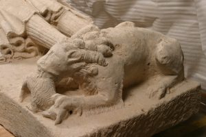 Exposition “Les animaux s’emparent du musée”