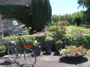 Gîte Aux grands hetres