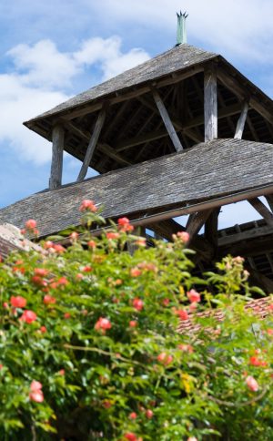 Gîte Les Grandes Fosses