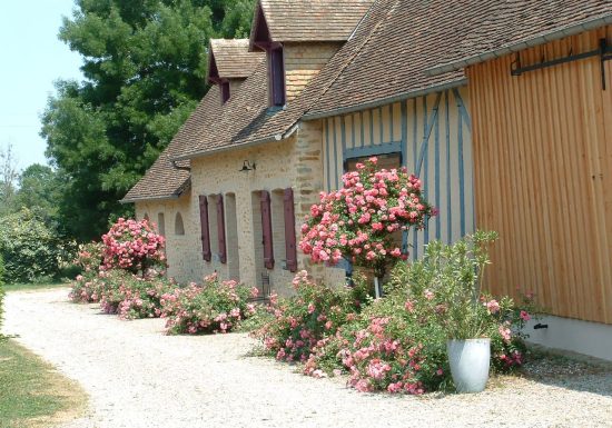 Les Genêts